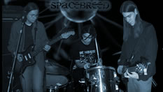 Spacebreed 22/02/03